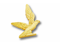 Metal Club Badge - Eagle Brooch